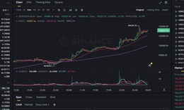 Bitcoin tăng dựng đứng, khả năng cao phá đỉnh