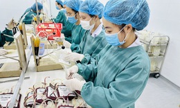 Thiếu máu, chế phẩm máu ngày càng trầm trọng ở Nghệ An