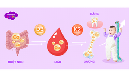 Hội thảo khoa học về vi chất D3K2 với sự tham gia của ba tập đoàn lớn trên thế giới