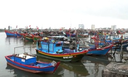 Quảng Bình hướng dẫn tàu thuyền đang trên biển tìm nơi tránh trú bão số 1