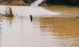Đi bắt ếch, hai chị em ruột bị nước lũ cuốn trôi