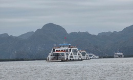 Hải Phòng ứng phó bão số 1: Tạm dừng cấp phép các hoạt động, lưu trú trên biển, cứu hộ kịp thời tàu cá gặp nạn