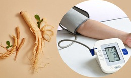 Huyết áp cao có nên uống sâm, nấm linh chi?