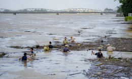 Cấp ph&#225;t miễn ph&#237; 160 tấn l&#250;a giống hỗ trợ người d&#226;n TP Huế khắc phục hậu quả b&#227;o số 1