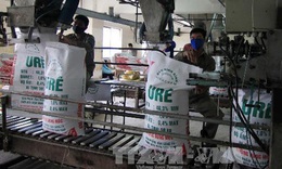 Thị trường phân bón: Giá bán trong nước bám sát đà tăng cao của thế giới