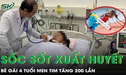 Bé gái 4 tuổi sốc sốt xuất huyết nặng, men tim tăng 200 lần, nguy cơ tử vong cao