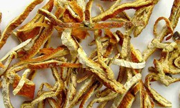 6 vị thuốc phòng và trị rối loạn tiêu hóa mùa hè