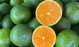 5 loại trái cây giàu kali có thể giúp hạ huyết áp