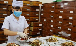 Bộ Y tế b&#227;i bỏ nhiều thủ tục h&#224;nh ch&#237;nh về Y, Dược cổ truyền