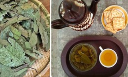 Cách làm trà lá ổi khô