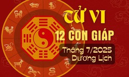 Tử vi 12 con giáp tháng 7/2025: Tý nhiều cơ hội, Tuất gặt hái thành quả