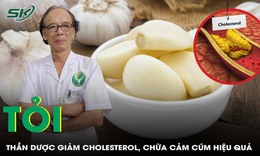 Tỏi - 'Thần dược' tự nhiên giúp giảm cholesterol, cảm cúm hiệu quả