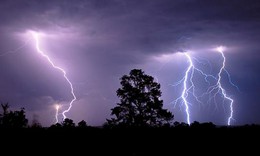 Chuy&#234;n gia khuyến c&#225;o g&#236; sau khi 4 người ở H&#224; Tĩnh bị s&#233;t đ&#225;nh tử vong?