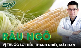R&#226;u ng&#244; vị thuốc lợi tiểu, thanh nhi&#234;t, m&#225;t gan 