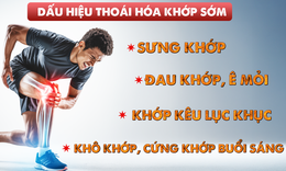Tiếp cận sớm trong xử lý thoái hóa khớp sớm - Liệu pháp miễn dịch dung nạp đường uống với collagen Collavant® n2