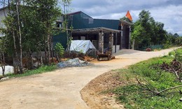 Đi lấy tiền nợ, người đ&#224;n &#244;ng bị ch&#233;m nhập viện