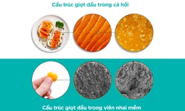 ConCordix&#169; - C&#244;ng nghệ tăng hấp thu DHA/EPA hiệu quả từ Na Uy