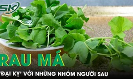Rau m&#225; rất tốt nhưng &#39;đại kỵ&#39; với những nh&#243;m người sau