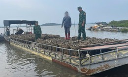 Mua 4 tấn h&#224;u lậu ở nước ngo&#224;i mang về Việt Nam b&#225;n kiếm lời