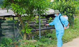 Bé trai 9 tuổi ở Quảng Ninh được phát hiện mắc viêm não Nhật Bản B từ triệu chứng đau đầu