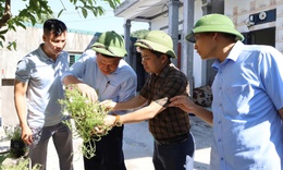 Hà Tĩnh xuất hiện ổ dịch sốt xuất huyết đầu tiên trong năm