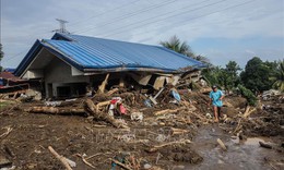 Bão Wipha ảnh hưởng đến hàng trăm nghìn người ở Philippines