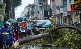 TPHCM khẩn cấp ứng phó bão số 3, yêu cầu trực 24/24