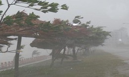Bão số 3 vừa tăng lên 1 cấp và còn mạnh thêm, mưa lớn nhất tập trung vào đêm nay và sáng mai