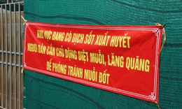 TPHCM triển khai nền tảng số giám sát ca bệnh, chủ động ứng phó sốt xuất huyết