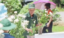 Ngã ba Đồng Lộc những ngày tháng 7