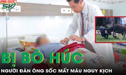 Bị b&#242; h&#250;c v&#224;o bụng, người đ&#224;n &#244;ng vỡ mạch mạc treo, sốc mất m&#225;u nguy kịch