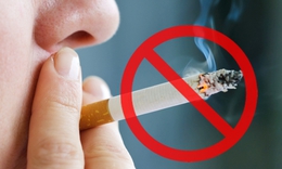 Mỗi năm thế giới có khoảng 8 triệu ca tử vong do các bệnh liên quan đến sử dụng thuốc lá