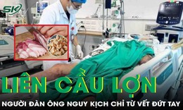 Chế biến tóp mỡ, người đàn ông bị nhiễm liên cầu lợn từ vết cắt nhỏ trên tay