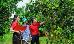 Agribank - Doanh nghiệp ESG Việt Nam xanh 2025