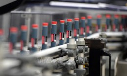 Đột ph&#225; phương ph&#225;p điều trị tiểu đường kh&#244;ng cần ti&#234;m insulin