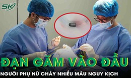 Bị đạn bắn trúng đầu khi đang làm vườn, người phụ nữ chảy nhiều máu nguy kịch