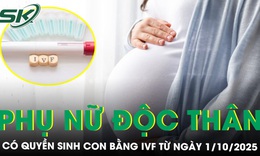 Từ ngày 1/10/2025, phụ nữ độc thân có quyền sinh con bằng IVF