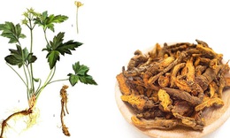 4 bài thuốc làm giảm căng thẳng và lo âu