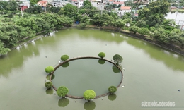 Ngắm giếng Ngọc trăm năm tuổi từ trên cao