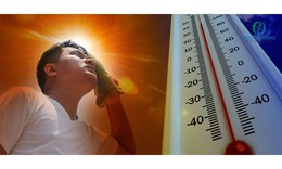 Người phụ nữ nguy kịch do làm đồng khi trời nắng nóng, phòng ngừa say nắng bằng cách nào?