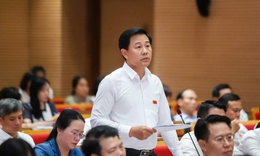 Lãnh đạo Hà Nội nói gì về việc 'rau hôm qua vừa phun thuốc, hôm nay đã mang ra chợ bán'?