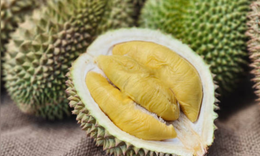 7 lợi ích sức khỏe của sầu riêng