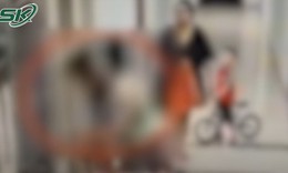 Cô gái trẻ bị đánh dã man ngay sảnh chung cư, camera ghi lại chi tiết phẫn nộ