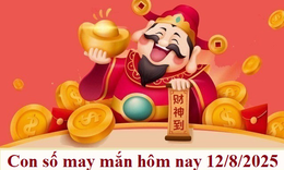 Con số may mắn hôm nay 12/8 - số cát lành - số tài lộc 12 con giáp ngày mới