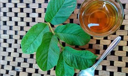 C&#244;ng dụng bất ngờ của nước l&#225; ổi cho thị lực m&#224; bạn chưa biết