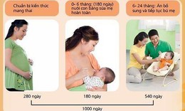 Dinh dưỡng 1.000 ng&#224;y đầu đời: Hướng dẫn h&#224;nh tr&#236;nh ăn dặm khoa học