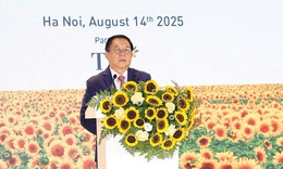 Triển khai có hiệu quả các chương trình nâng cao trí lực, thể lực, tầm vóc người Việt Nam