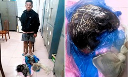 Ph&#225;t hiện vụ vận chuyển tr&#225;i ph&#233;p động vật rừng nguy cấp, qu&#253; hiếm