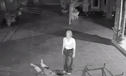 Điều tra nghi án vợ sát hại chồng ở Phú Thọ