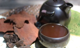 B&#224;i thuốc từ h&#224; thủ &#244; ph&#242;ng chống rụng t&#243;c trong m&#249;a thu